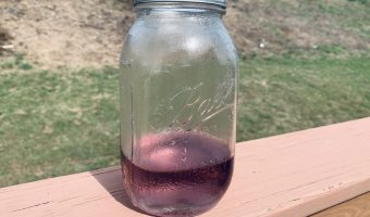 lavender simple syrup in a mason jar