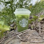 Starbucks Iced Pineapple Matcha Latte Review