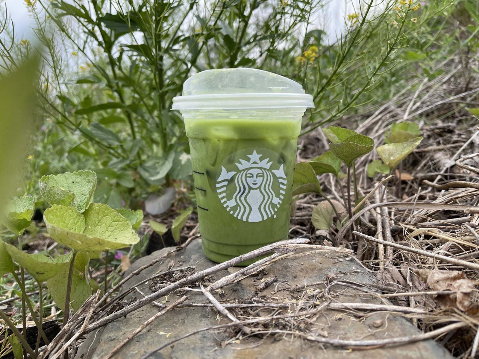 Low Calorie Starbucks Iced Pineapple Matcha Latte