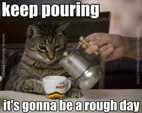 Keep pouring cat coffee meme