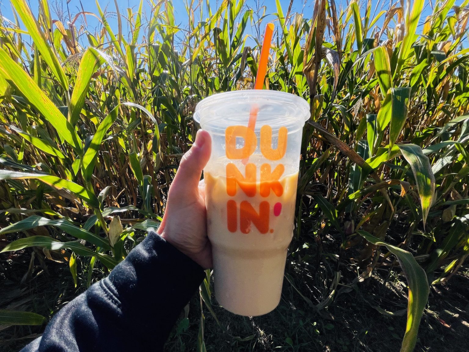 Best Dunkin' Iced Coffee The Ultimate Guide Best Coffee Recipes