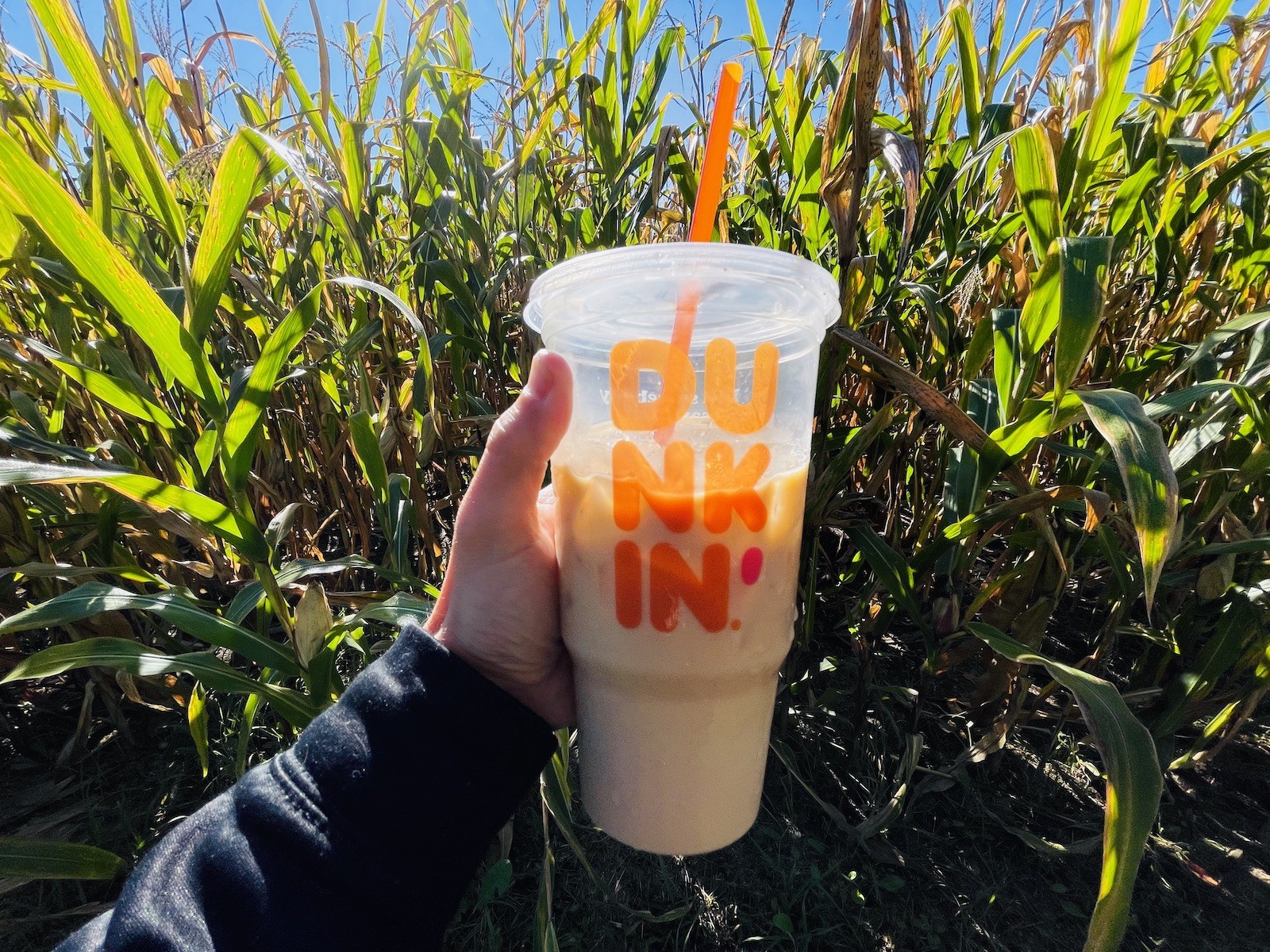 Dunkin' Nutty Pumpkin Review