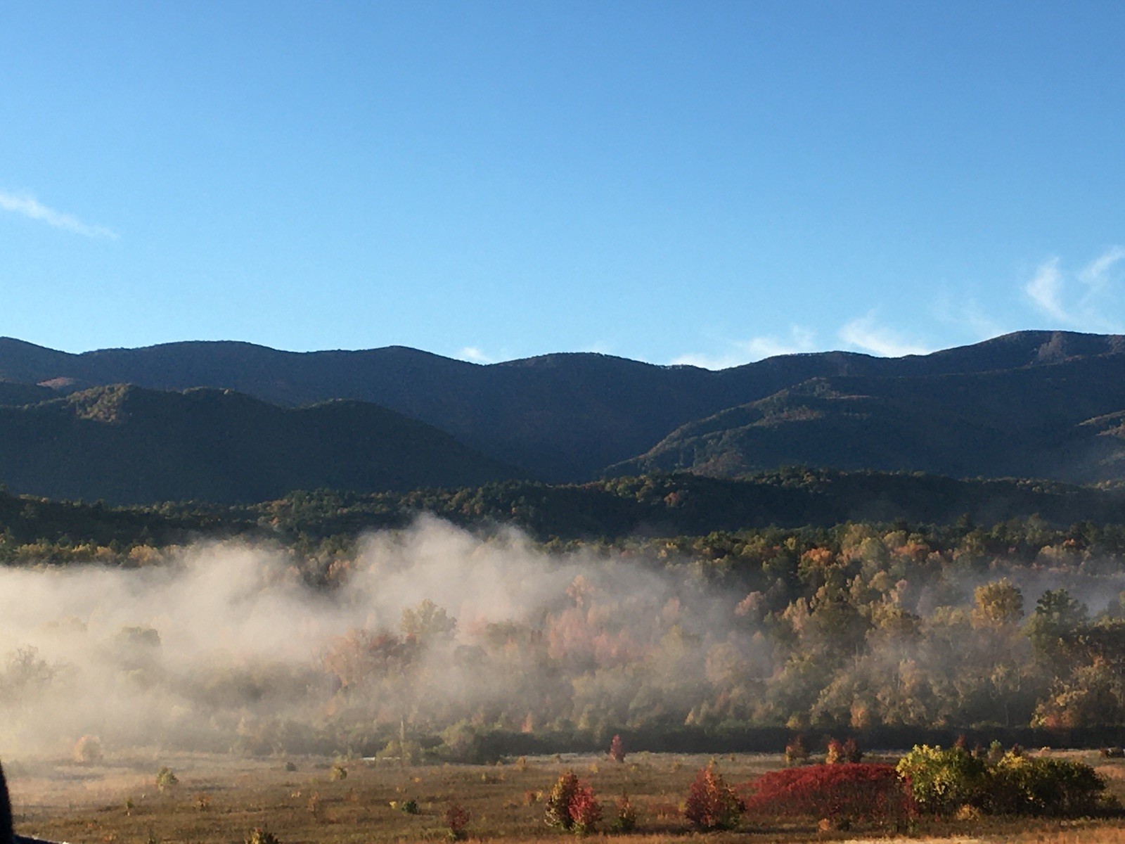 Best Coffee Sips of the Smoky Mountains