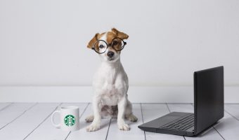 Starbucks Puppuccino