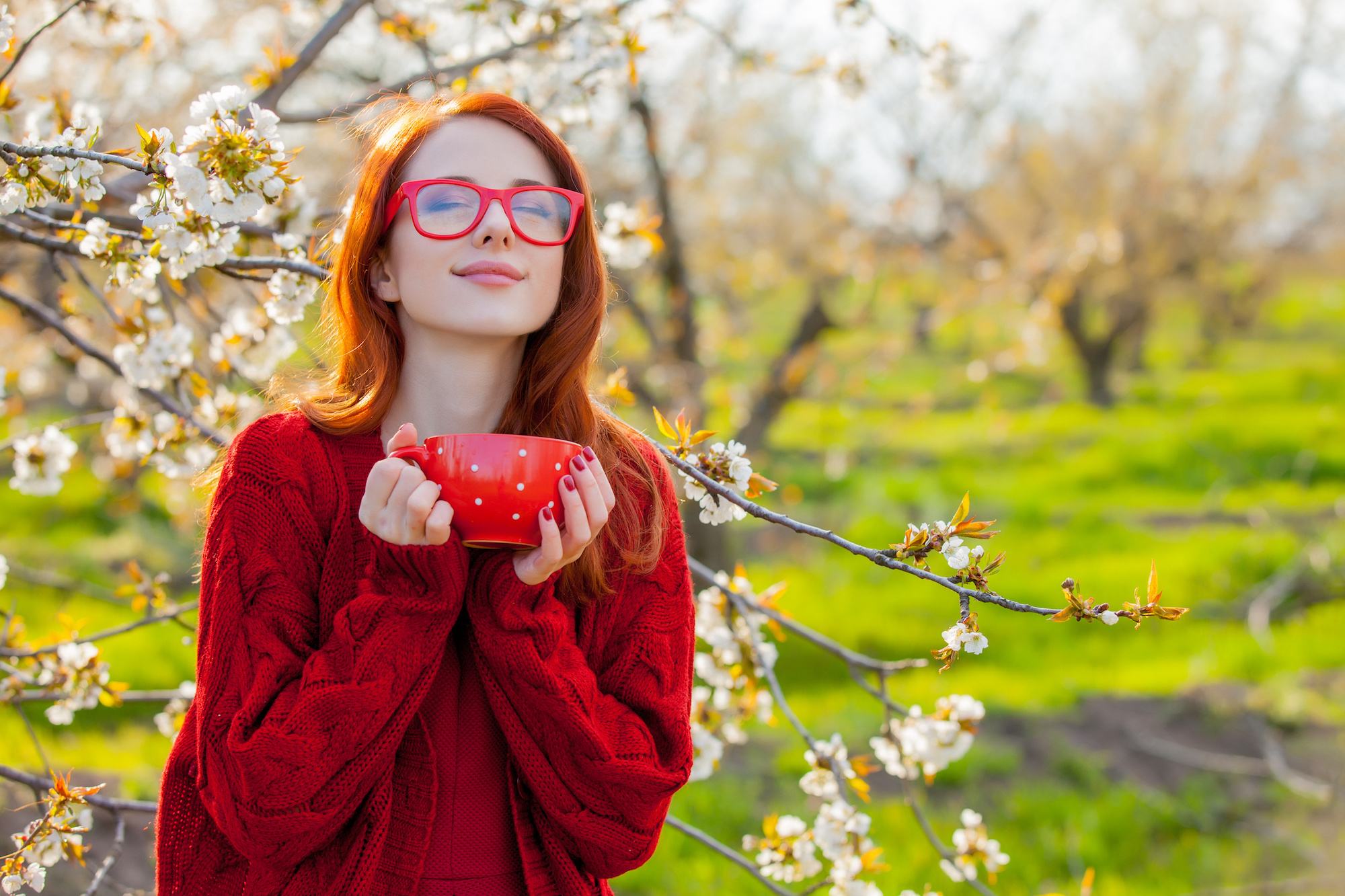 7 Spring Coffee Drinks To Put a Spring in Your Step