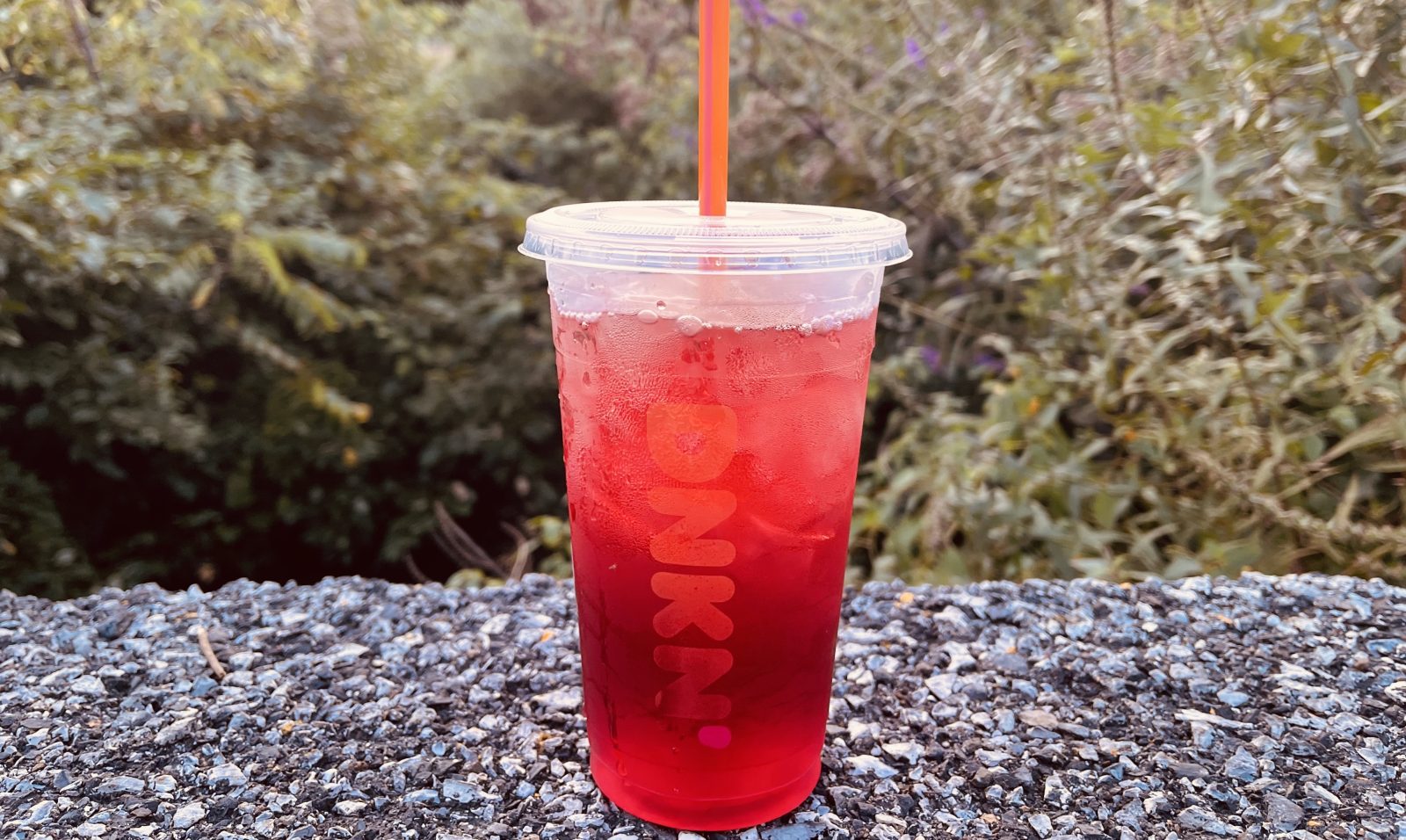 Best Dunkin Refreshers An Ultimate Guide