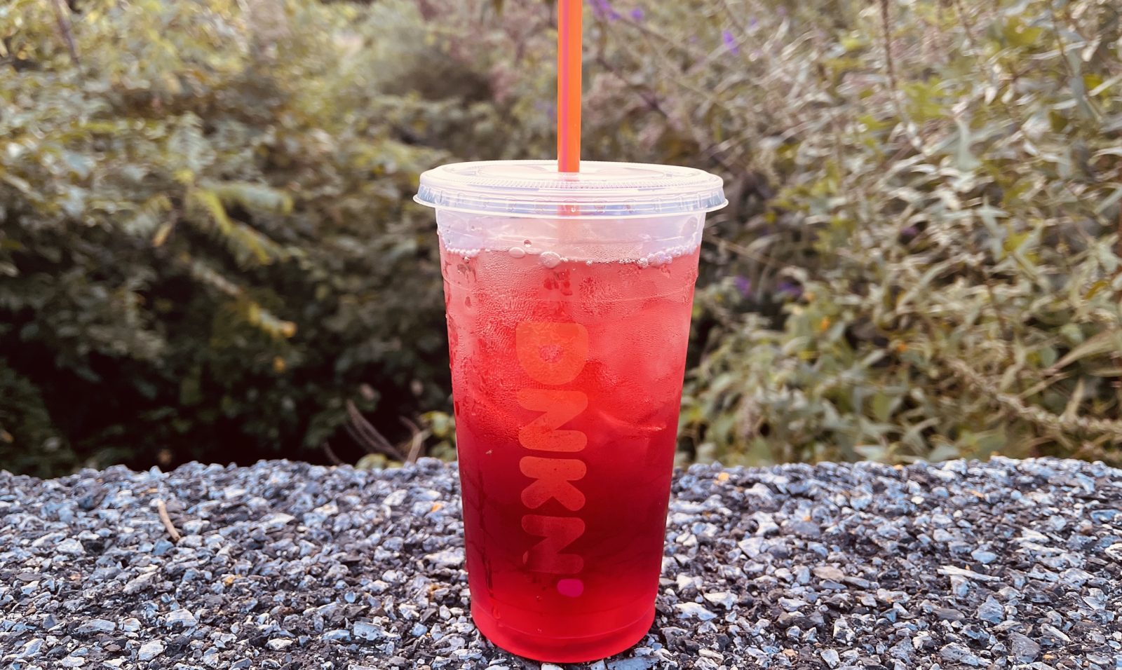 Best Dunkin Refreshers An Ultimate Guide Best Coffee Recipes