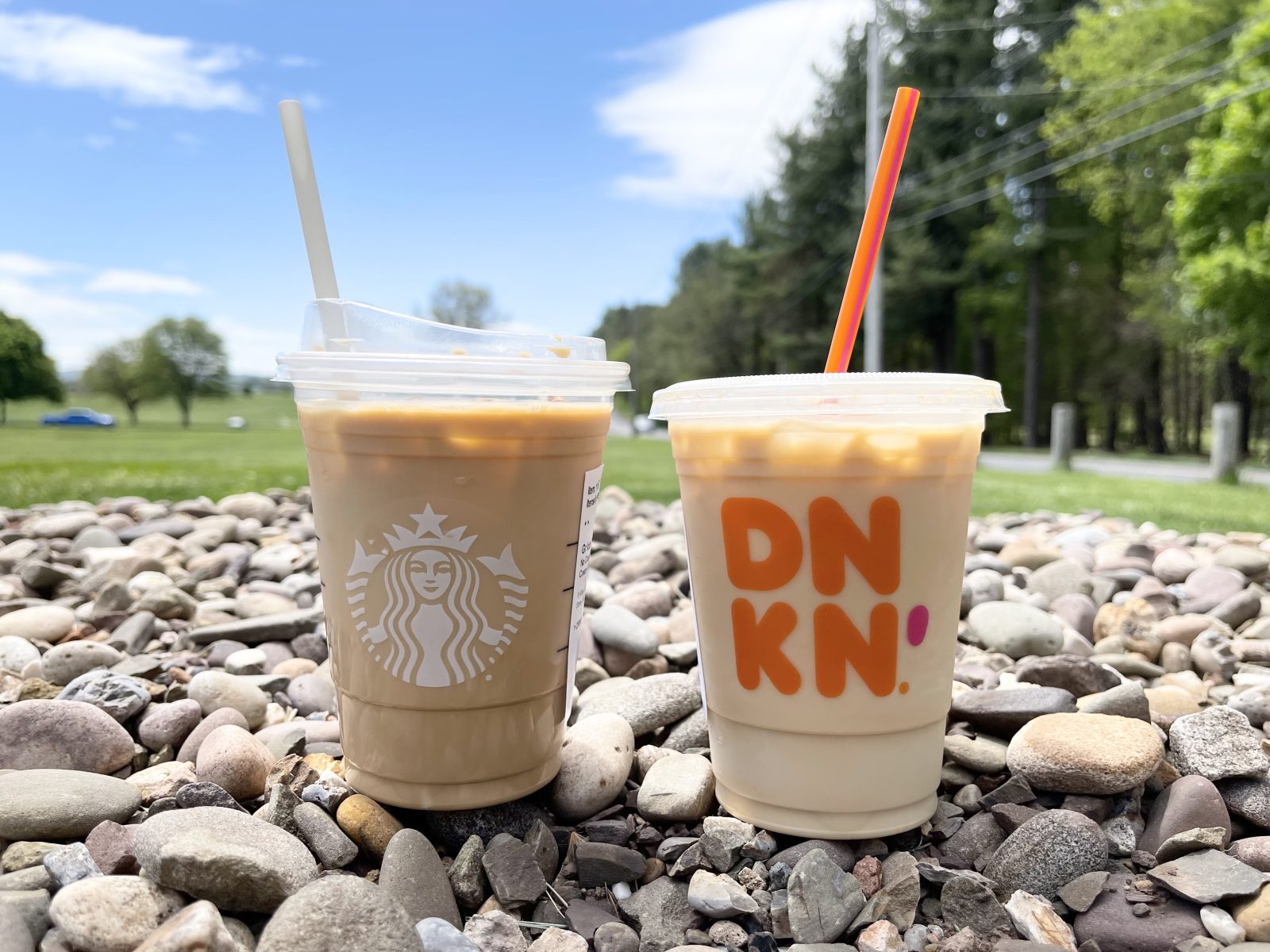 Dunkin’ vs. Starbucks Caffeine Content Ultimate Guide