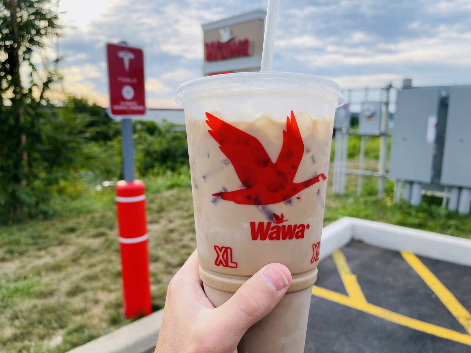 Wawa Iced Coffee Everything You Need To Know BCR