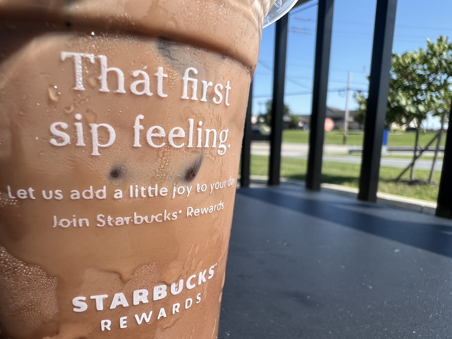 13 Best Mocha Drinks At Starbucks Best Coffee Recipes