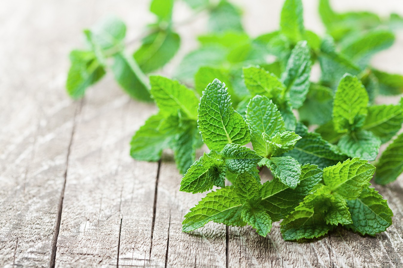 Mint leaf on rustic wooden table.