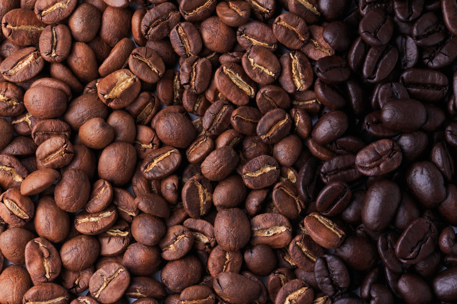 Which Coffee Roast Has the Most Caffeine?