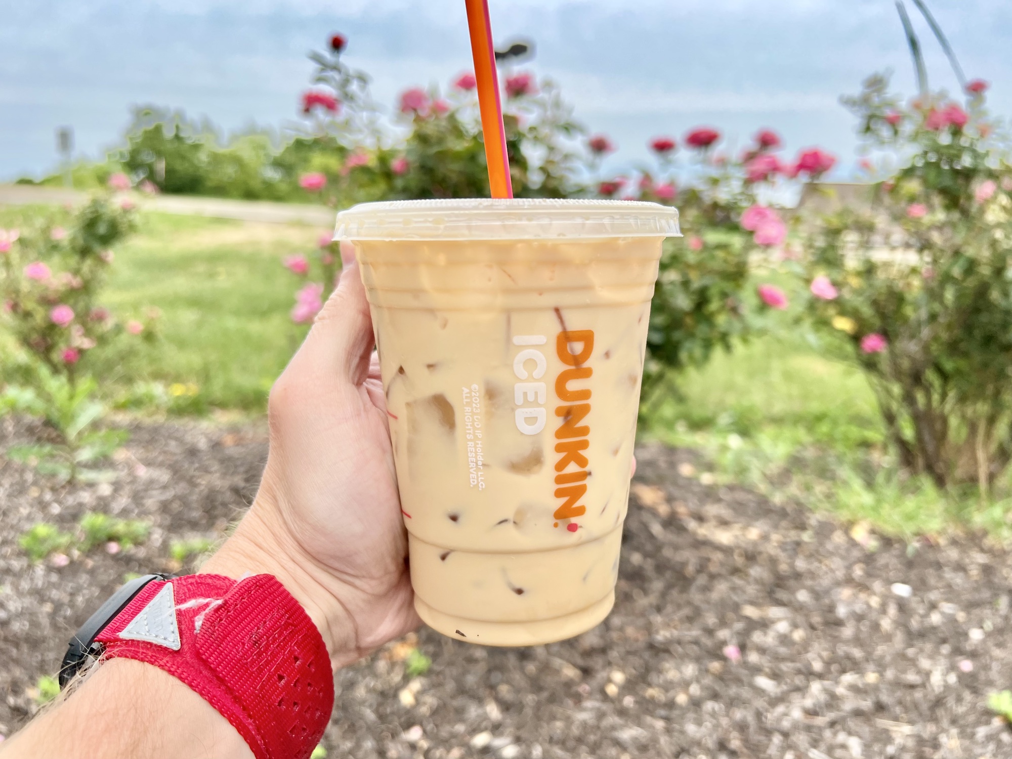 Dunkin' Toffee Nut Iced Coffee Review