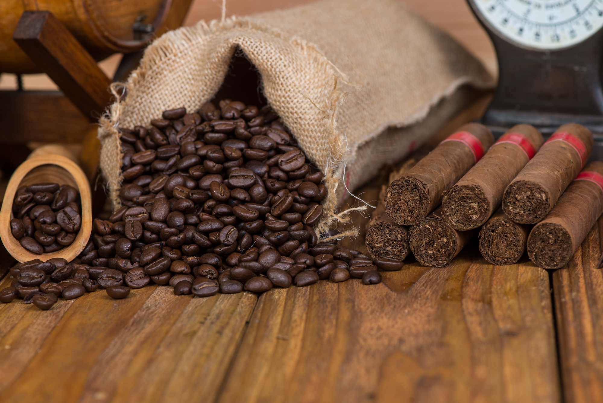 Best Coffee Cigars: A Definitive Guide for Enthusiasts
