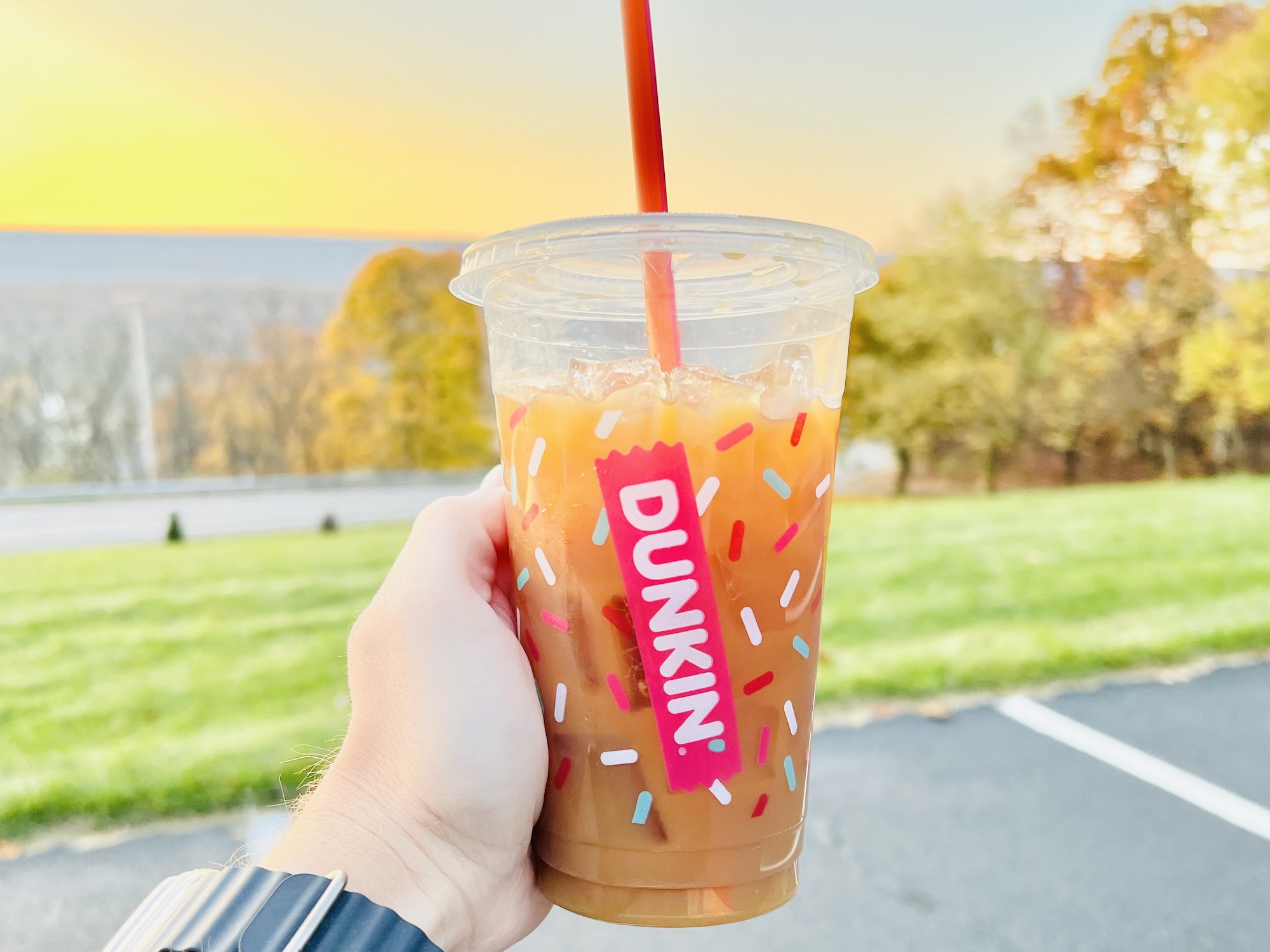 Dunkin' Spiced Cookie Coffee Review